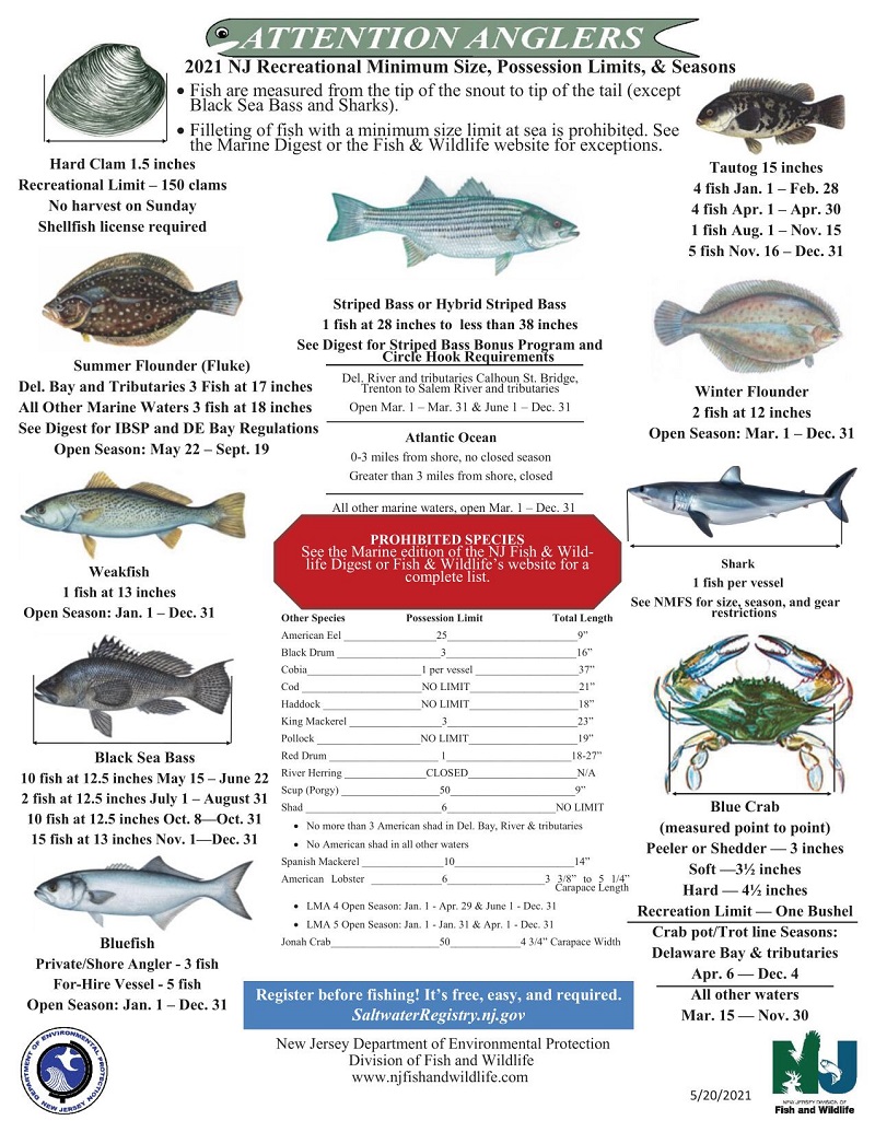 NJ Saltwater Regulations NJ Saltwater Fisherman